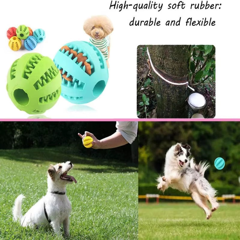 Boule De Jouet Pour Chien, Boules En Caoutchouc Interactives, Jouets À Mâcher Pour Chiot, Boule De Nettoyage Des Dents Pour Animaux De Compagnie, Mangeoire De Friandises Alimentaires Pour Chats Et Animaux De Compagnie, Balles En Silicone