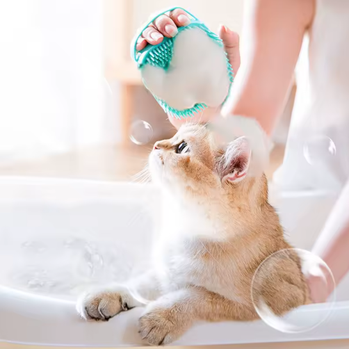 Brosse de Bain en Silicone pour Chats & Petits Chiens – Massage Doux & Nettoyage en Profondeur